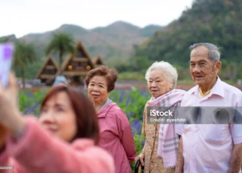 國內樂齡行程：專為年長者設計的團體旅遊