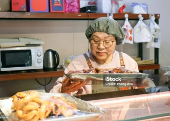 退休後再就業：台灣政府支援與職業媒合計畫