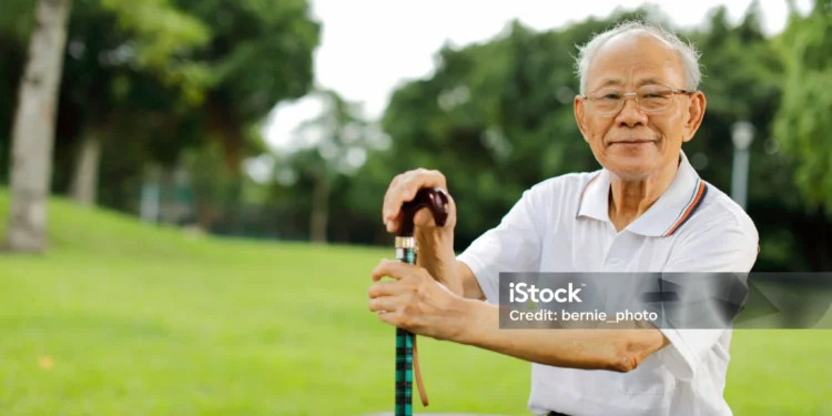 助行器與手杖選購指南：如何挑對型號